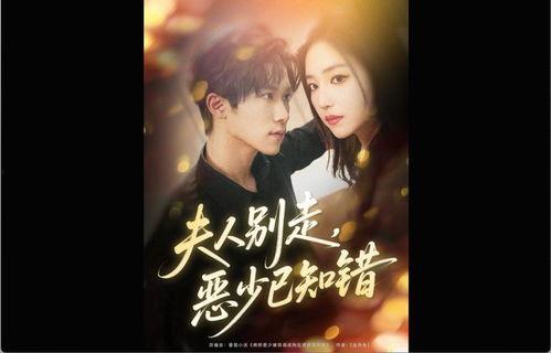 夫人别走恶少已知错,恶少逆袭的甜蜜纠葛