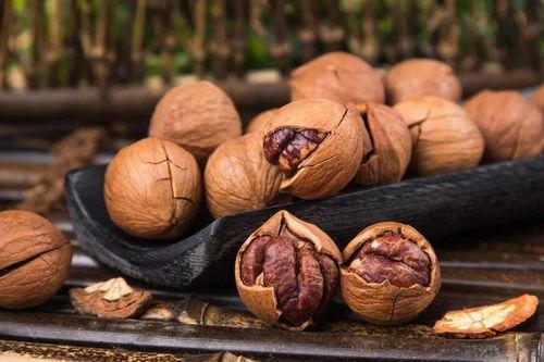 甜美山核桃夏日,甜美山核桃的夏日风情