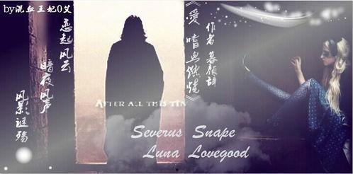 爱起风云,探寻爱情的力量与影响