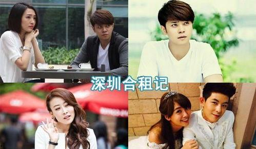 深圳合租记,邻里情谊与都市挑战的交织