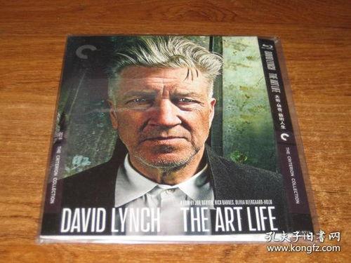 大卫·林奇：艺术人生